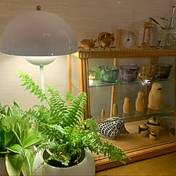 Flowerpot Lamp/ヴェルナー・パントン/北欧ナチュラル/北欧雑貨/北欧インテリア...などのインテリア実例 - 2021-06-14 21:00:45