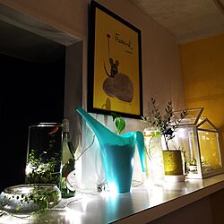 キッチン/植物/ニトリ/赤ちゃんのいる部屋/照明...などのインテリア実例 - 2016-02-15 23:15:52