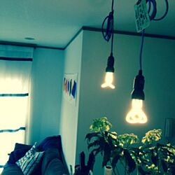 部屋全体/ペンダントライト/Ｌine Me/IKEA/植物のインテリア実例 - 2014-03-15 10:37:53