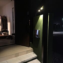 玄関/入り口/ゼロキューブ/照明のインテリア実例 - 2016-11-11 18:40:57