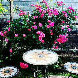 ガーデンテーブル＆チェア/薔薇のある暮らし/カフェ風/パリのアパルトマンに憧れる/ガーデニング...などのインテリア実例 - 2021-05-19 14:52:24