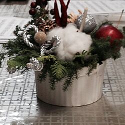 リビング/手作り/クリスマス/植物のインテリア実例 - 2014-12-20 00:37:52