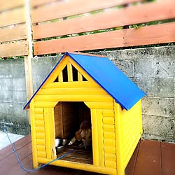 犬小屋DIY/ナチュラルな暮らし/海のある暮らし/沖縄暮らし/ナチュラル...などのインテリア実例 - 2017-02-21 23:21:41