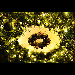 クリスマス/Color and Seasons/LEDライト/クリスマス雑貨/リース...などのインテリア実例 - 2022-11-07 19:08:58