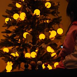 木製オーナメント/クリスマスツリー/クリスマス/北欧/シンプルナチュラル...などのインテリア実例 - 2016-11-04 23:28:16