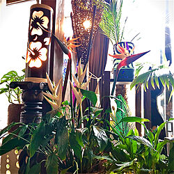 バリ島照明/棚DIY/加湿器リメイク/南国風インテリア/観葉植物...などのインテリア実例 - 2021-07-13 16:11:48