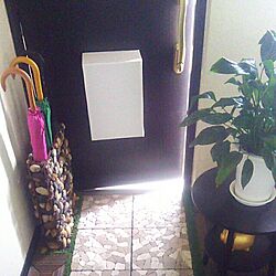 玄関/入り口のインテリア実例 - 2017-05-10 11:00:48