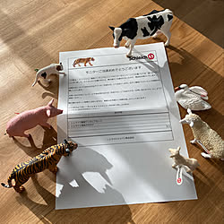 動物フィギュア/Schleich/シュライヒ/北欧/ナチュラルインテリア...などのインテリア実例 - 2021-12-18 09:19:49