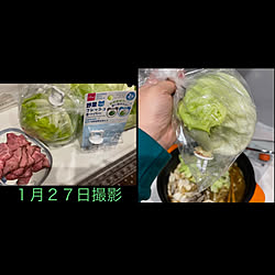 Daiso/野菜フレッシュキーパー/RCの皆さまに感謝♡/フォロワー様に感謝❤️/皆様に感謝いたします❤️...などのインテリア実例 - 2021-02-10 18:31:54