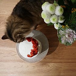 ダイニングテーブル/クルミのテーブル/くるみ/猫/花のある暮らし...などのインテリア実例 - 2020-01-10 16:40:23