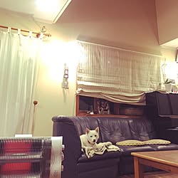 犬と暮らす/部屋全体/私の指定席からの眺め/定点観察/家族の歴史...などのインテリア実例 - 2016-12-12 22:56:19