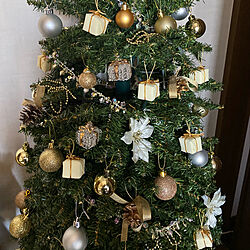 Merry Christmas/クリスマス/クリスマスグッズ/LEDライト/クリスマスツリー...などのインテリア実例 - 2020-11-29 11:18:00