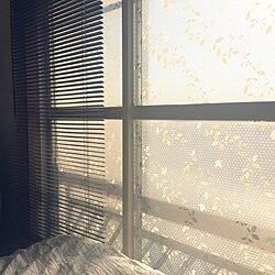 ベッド周り/ニトリ/ブラインド/断熱シート/窓のインテリア実例 - 2016-02-12 21:12:37
