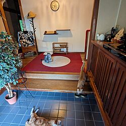 玄関/入り口/猫と暮らす家のインテリア実例 - 2023-08-12 06:50:48