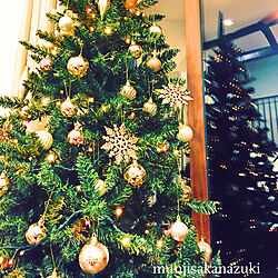 リビング/ニトリのツリー/ゴールド/クリスマスツリー180cm/クリスマス...などのインテリア実例 - 2017-11-28 00:59:02
