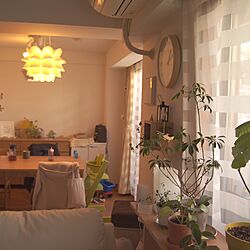 部屋全体/ソファー/IKEA/植物/シュガーバイン...などのインテリア実例 - 2015-12-09 15:25:36