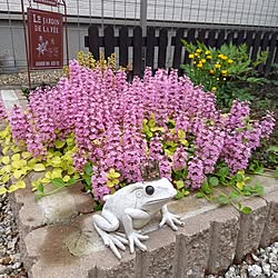 玄関/入り口/花のある暮らし/建売/建て売り住宅/花壇...などのインテリア実例 - 2024-04-23 15:43:26