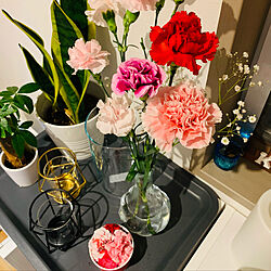 母の日のプレゼント♡/植物のある生活/ホワイト大好き/お花が好き/IKEA...などのインテリア実例 - 2021-05-08 19:51:02