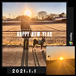 元旦2021/犬と正月/初日の出/正月のインテリア実例 - 2021-01-01 10:20:27