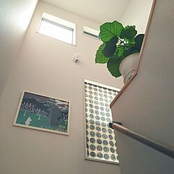 壁/天井のインテリア実例 - 2016-08-30 16:29:41