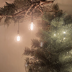 照明/クリスマスツリー180cm/クリスマスツリー/リノベーション/漆喰壁...などのインテリア実例 - 2021-11-30 11:13:34