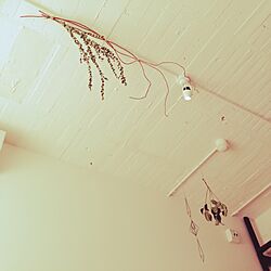 壁/天井のインテリア実例 - 2016-03-06 13:17:07