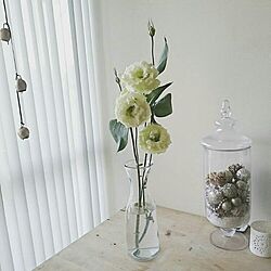 白い花/棚/IKEA/白/お花...などのインテリア実例 - 2016-09-08 00:34:31