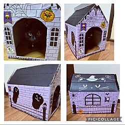 ハンドメイド/ホラーハウス/黒猫/ハロウィン/段ボールハウス...などのインテリア実例 - 2021-09-26 23:34:55