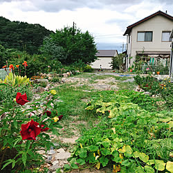 部屋全体/動画はインスタにて/かぼちゃ/中古を買ってリノベーション/インスタはやりたい放題色々してます...などのインテリア実例 - 2018-08-10 18:54:53