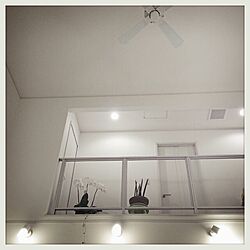 壁/天井のインテリア実例 - 2013-11-06 20:35:30