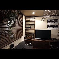 リビング/猫mansion/山本商店/猫と植物/DIY...などのインテリア実例 - 2015-12-05 23:24:50