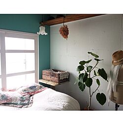 ベッド周り/観葉植物/植物/ウンベラータ/窓枠...などのインテリア実例 - 2013-06-22 23:23:03