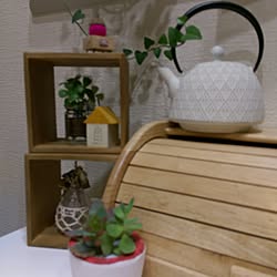 リビング/多肉植物♡/雑貨大好き♡/観葉植物/鉄瓶急須のインテリア実例 - 2016-01-07 19:24:13