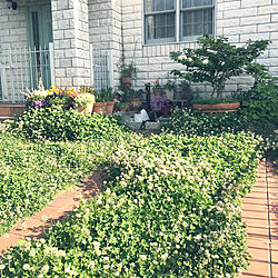 玄関/入り口/中古住宅/plants/お庭/Flowersのインテリア実例 - 2018-05-05 13:26:57