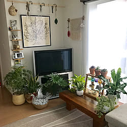 部屋全体/観葉植物/北欧雑貨/北欧インテリア/北欧ナチュラルのインテリア実例 - 2018-05-08 05:46:12