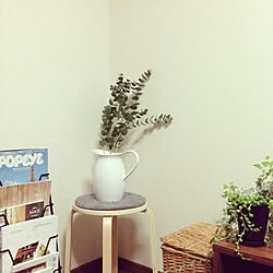 リビング/IKEA/ニトリ/観葉植物のインテリア実例 - 2014-04-18 17:45:51
