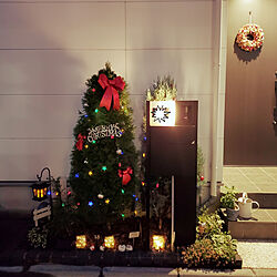 玄関/入り口/クリスマス/クリスマスツリー/DAISO雑貨/玄関オブジェ...などのインテリア実例 - 2022-12-21 12:36:21
