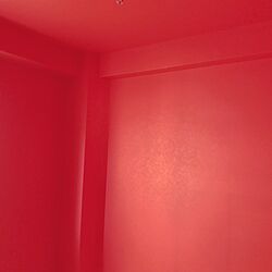壁/天井/赤い壁のインテリア実例 - 2017-06-19 01:04:01