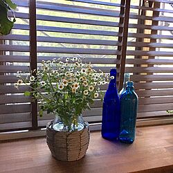 棚/青い瓶/マトリカリア/花のある暮らし/木製ブラインドのインテリア実例 - 2017-05-02 16:48:55