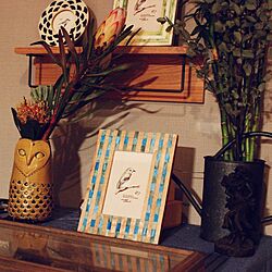 フクロウ/DIY/カフェ風/観葉植物/花瓶...などのインテリア実例 - 2017-02-11 19:41:59