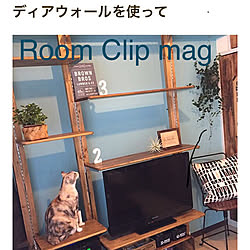 猫の為のDIY/ねことの暮らし/ありがとうございます♡/Room Clip mag掲載/キャットステップDIY...などのインテリア実例 - 2019-08-18 12:57:05