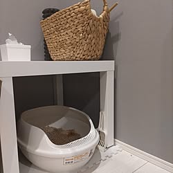 ベッド周り/IKEA/猫トイレ/猫のいる暮らし/ナチュラルのインテリア実例 - 2023-11-08 23:16:04