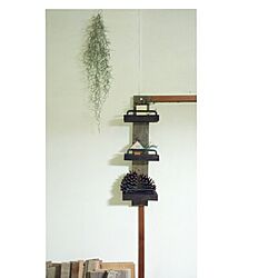 壁/天井/DIY/植物/ｴｱｰﾌﾟﾗﾝﾂ/雑貨のインテリア実例 - 2014-11-25 19:22:29