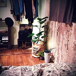 ベッド周り/寝室/セルフリフォーム/男前/観葉植物...などのインテリア実例 - 2014-04-17 22:31:31