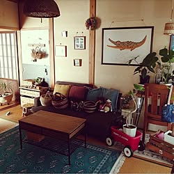 部屋全体/お気に入りの柄/２枚投稿しました/観葉植物/和室...などのインテリア実例 - 2023-04-13 16:11:41