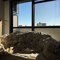 ベッド周り/ワンルーム/ニトリ/6畳/IKEAのインテリア実例 - 2017-02-28 22:47:18