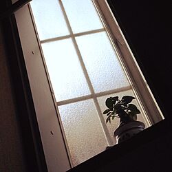 ベッド周り/あさひ/おはようございます/出窓/幸福の木のインテリア実例 - 2014-03-21 08:02:37
