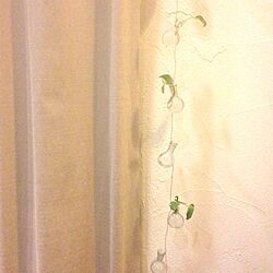 壁/天井/植物のインテリア実例 - 2013-06-12 12:53:32