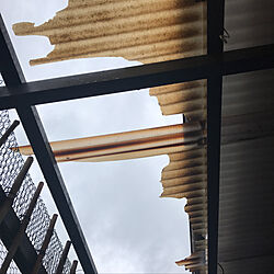 壁/天井/ベランダ/波板/台風の被害報告/二住生活...などのインテリア実例 - 2018-10-08 08:49:25