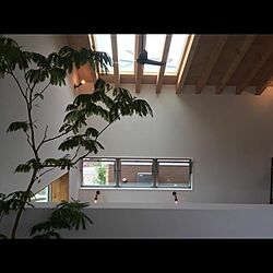 壁/天井/ビンテージ/無垢/庭/植物のある暮らし...などのインテリア実例 - 2017-07-05 20:44:42